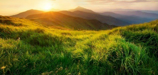 أقوال عن الطبيعة