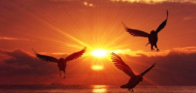 أقوال عن الوطن الحبيب أقوال عن الوطن الحبيب