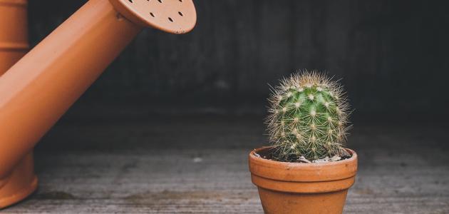 أقوال وحكم عن اللئيم أقوال وحكم عن اللئيم