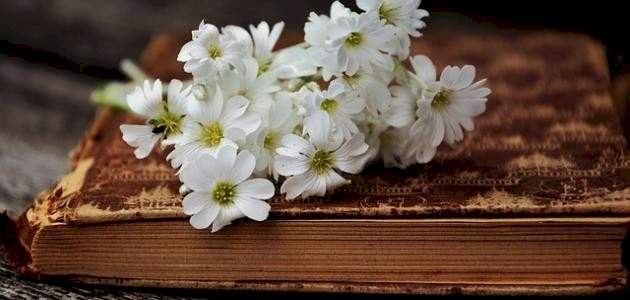 أقوال وحكم نزار قباني أقوال وحكم نزار قباني