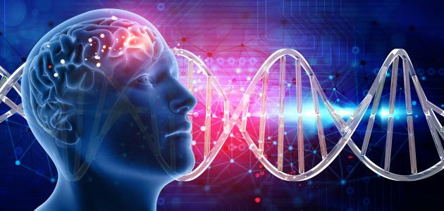 أمراض الدماغ أمراض الدماغ