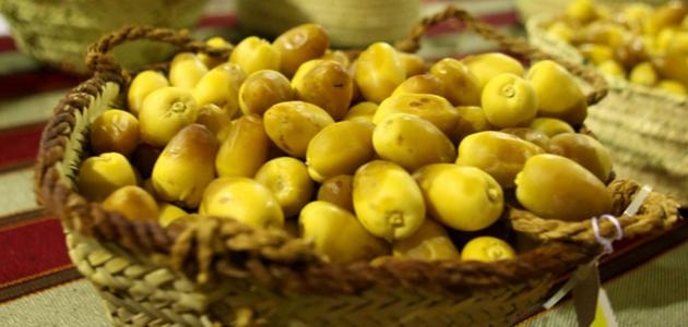 أنواع الرطب