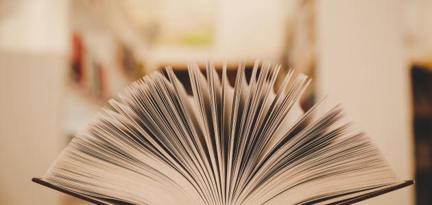 أنواع الفلسفة أنواع الفلسفة