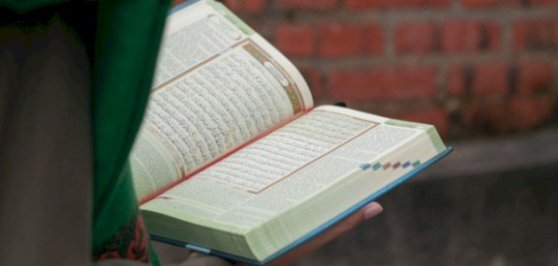 أنواع المد في سورة الملك