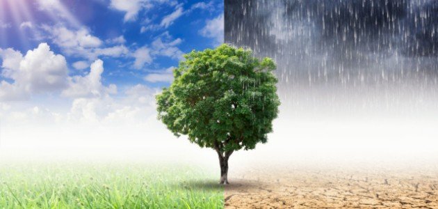 أنواع المناخات السائدة في العالم أنواع المناخات السائدة في العالم