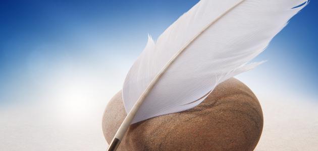 أنواع بحور الشعر أنواع بحور الشعر