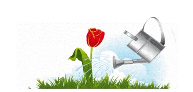 أهمية الأخلاق في المجتمع أهمية الأخلاق في المجتمع