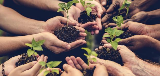 أهمية الإحسان في حياة الفرد والمجتمع أهمية الإحسان في حياة الفرد والمجتمع