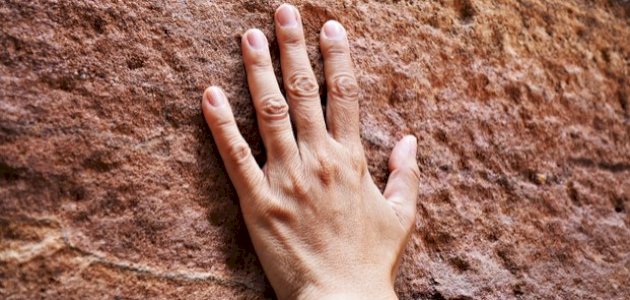 أهمية الحواس الخمسة أهمية الحواس الخمسة