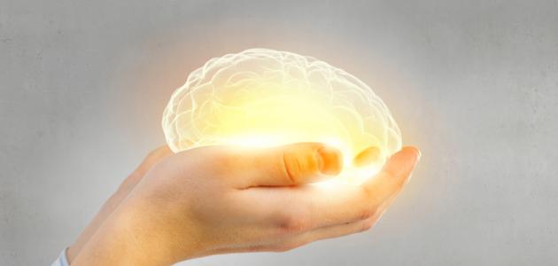 أهمية العقل والعلم في الإسلام أهمية العقل والعلم في الإسلام