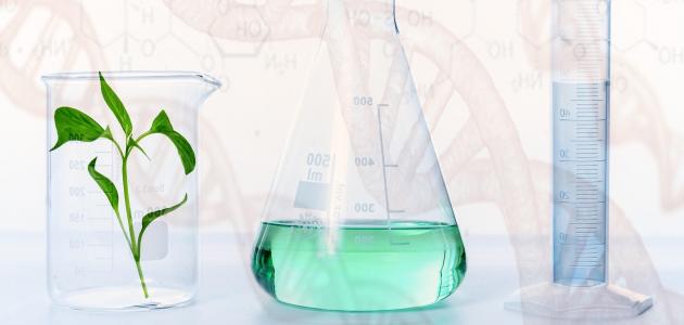 أهمية علم الكيمياء العضوية في الحياة أهمية علم الكيمياء العضوية في الحياة