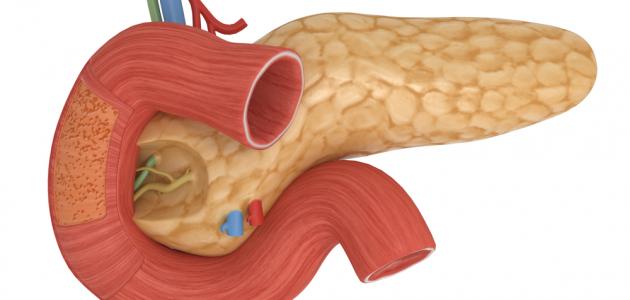أين تقع جزر لانغر هانس أين تقع جزر لانغر هانس