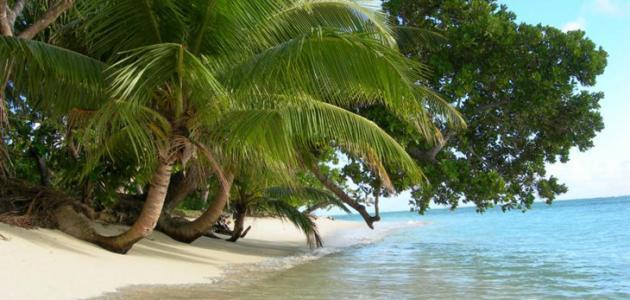 أين تقع مدغشقر على الخريطة أين تقع مدغشقر على الخريطة