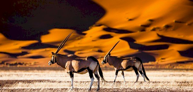 أين تقع ناميبيا أين تقع ناميبيا