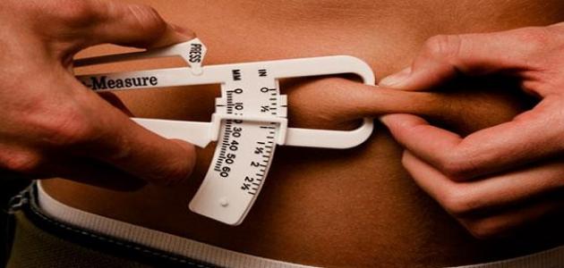 أين توجد الدهون أين توجد الدهون