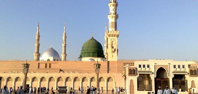 أين ولد الإمام مالك