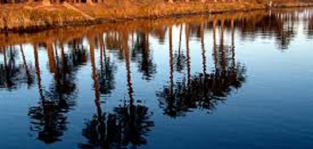 أين ولد الجاحظ أين ولد الجاحظ