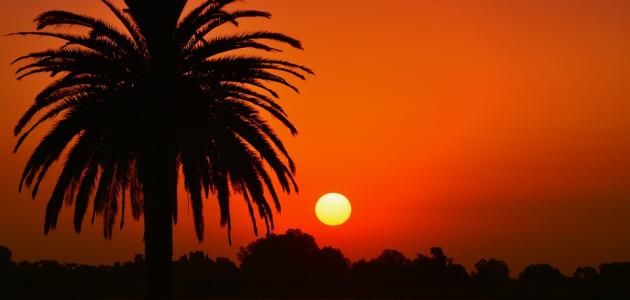 أين ولد سيدنا عيسى ابن مريم أين ولد سيدنا عيسى ابن مريم