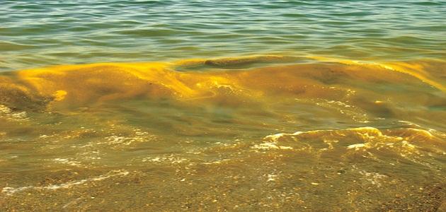 أين يقع البحر الأصفر