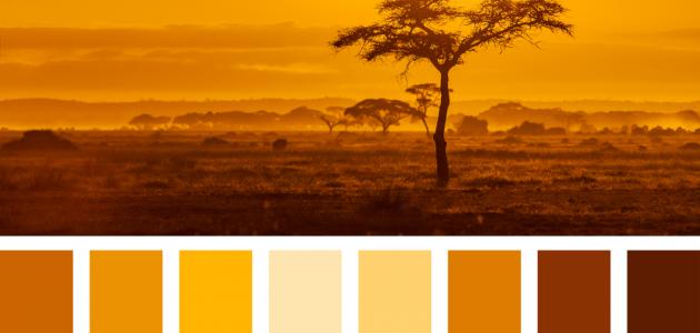 إلى ماذا يرمز اللون البرتقالي إلى ماذا يرمز اللون البرتقالي