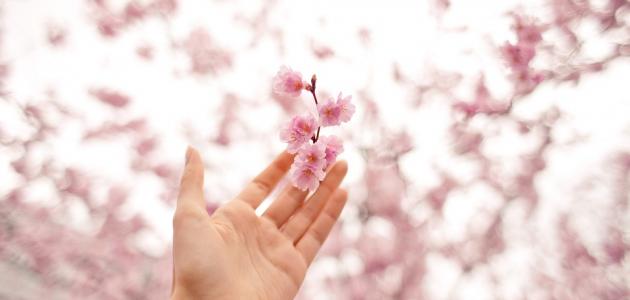 اتبع السيئة الحسنة تمحها