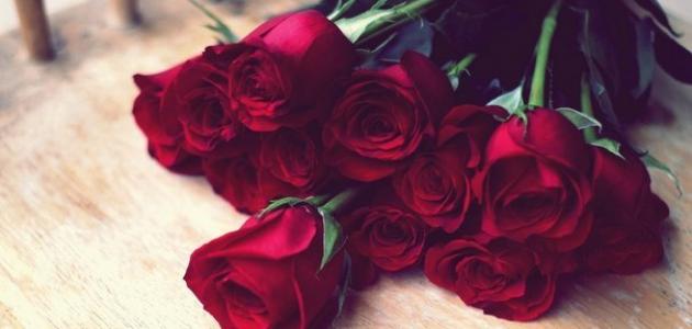 اجمل خواطر العتاب اجمل خواطر العتاب