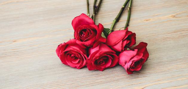 اجمل كلام الحب والرومانسية اجمل كلام الحب والرومانسية