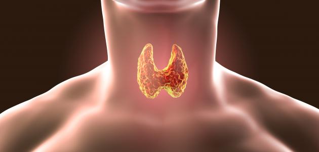 ارتفاع الأجسام المضادة للغدة الدرقية ارتفاع الأجسام المضادة للغدة الدرقية
