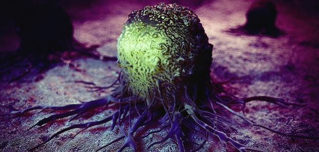 ارتفاع دلالات الأورام