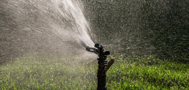 استخدامات الماء في مجال الزراعة استخدامات الماء في مجال الزراعة