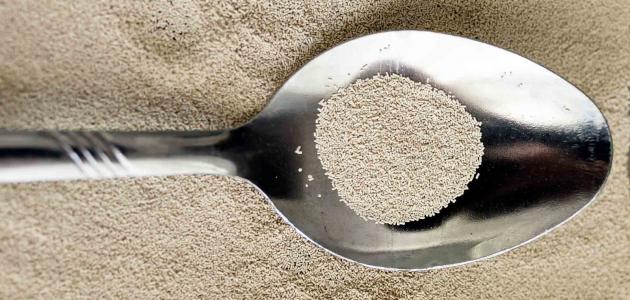 التخلص من الناموس بالخميرة التخلص من الناموس بالخميرة