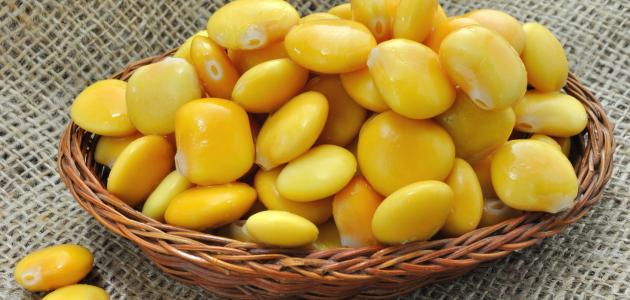 الترمس لتطويل الشعر الترمس لتطويل الشعر