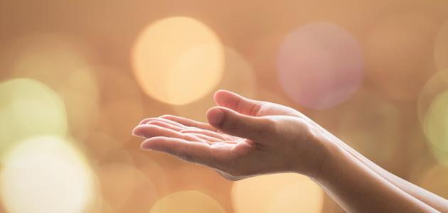 التضحية والفداء في الإسلام