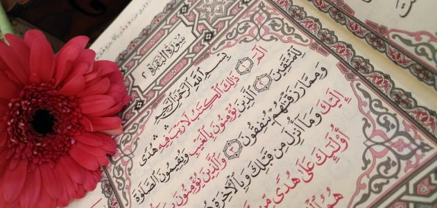 التعريف بسورة البقرة التعريف بسورة البقرة