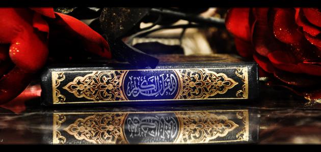 التعريف بسورة الحجرات التعريف بسورة الحجرات