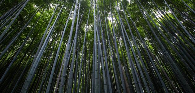 الحفاظ على الموارد الطبيعية الحفاظ على الموارد الطبيعية