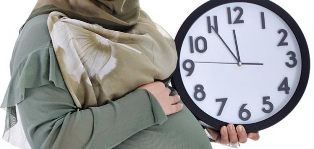 الشهر الثامن من الحمل الشهر الثامن من الحمل