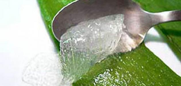 الصبار لتكثيف الشعر الصبار لتكثيف الشعر