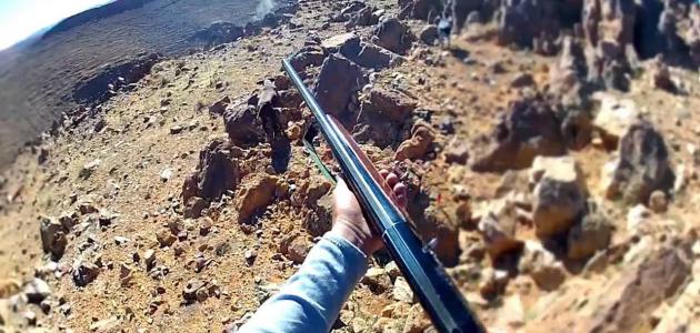 الصيد البري في المغرب الصيد البري في المغرب