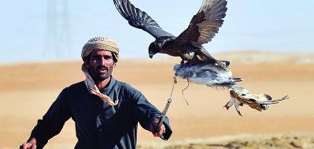 الصيد بالصقور الصيد بالصقور