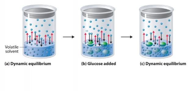 الضغط البخاري للمحلول الضغط البخاري للمحلول
