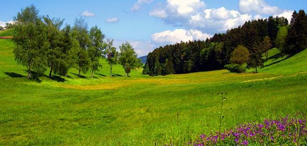 الطبيعة في الجزائر الطبيعة في الجزائر