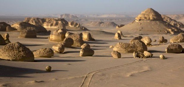 العصر الحجري الحديث العصر الحجري الحديث