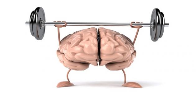 العقل السليم في الجسم السليم العقل السليم في الجسم السليم