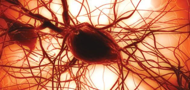 العلاج الطبيعي لنقص الصفائح الدموية العلاج الطبيعي لنقص الصفائح الدموية