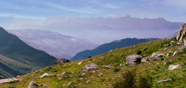 العلاقة بين الغطاء النباتي والتضاريس العلاقة بين الغطاء النباتي والتضاريس