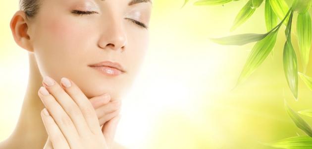 العناية بالبشرة طبيعياً العناية بالبشرة طبيعياً