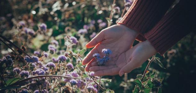 العناية بالذات في علم النفس العناية بالذات في علم النفس