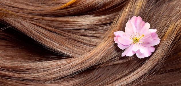 العناية بالشعر العناية بالشعر