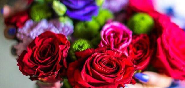 الفرق بين السندس والإستبرق الفرق بين السندس والإستبرق